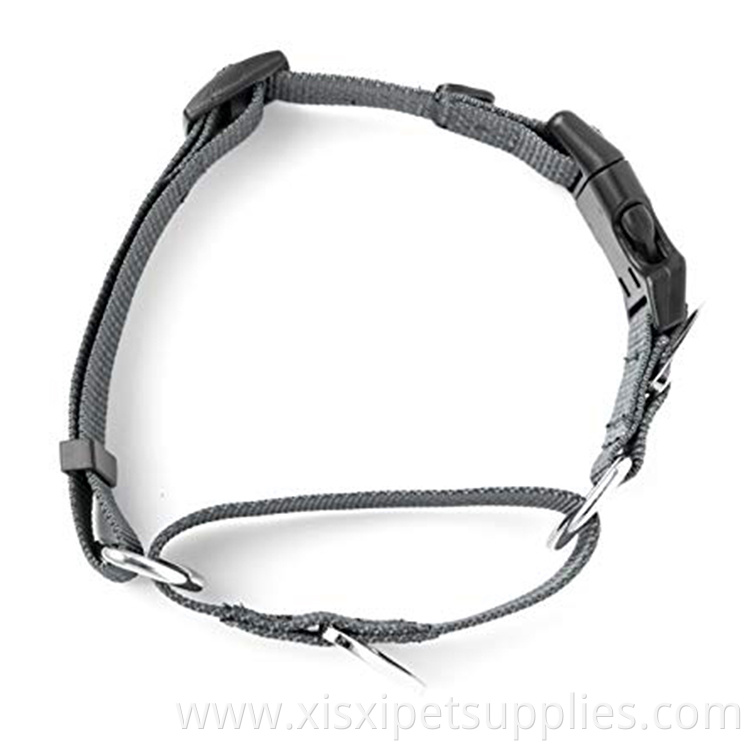 Premium Quality Nylon Training Martingale Collar with Reflective Stitching